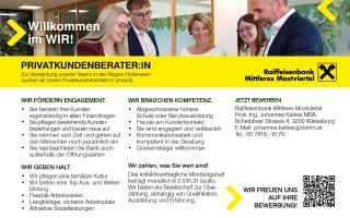 Stellenanzeige_PK-Berater_Hollenstein_A5quer.jpg