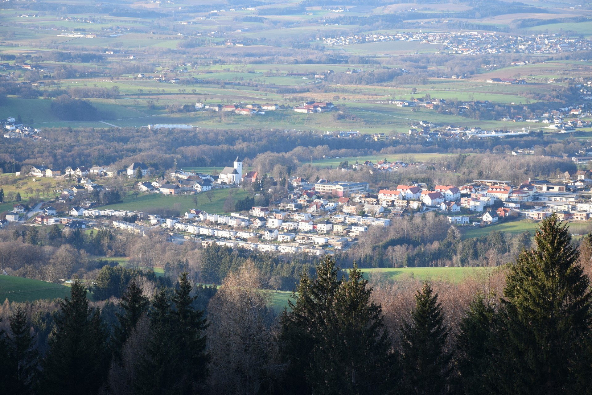DSC_0242.JPG