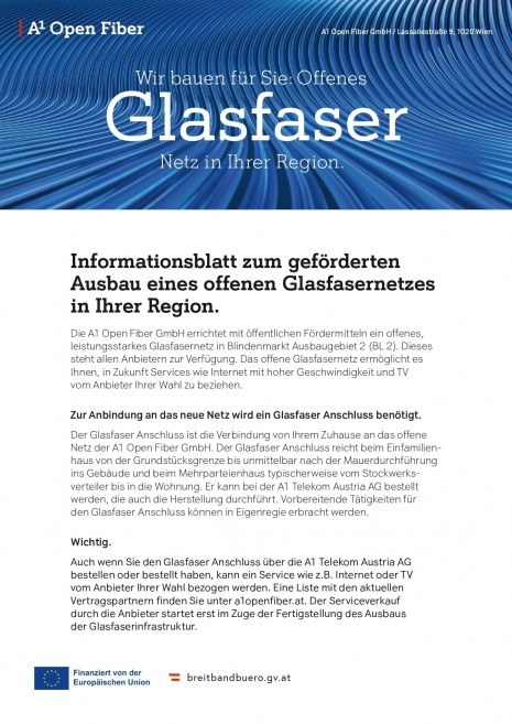 Glasfaser Seite 3.jpg