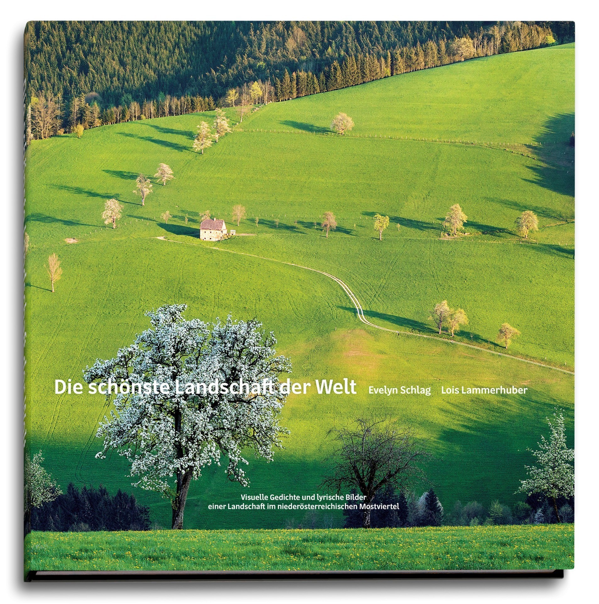 NÖ LandesausstellungBuchcover-Foto.jpg