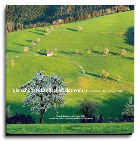 NÖ LandesausstellungBuchcover-Foto.jpg