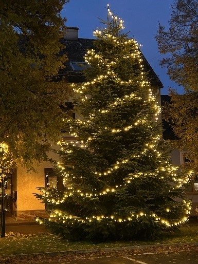 Christbaum Marktplatz 2024.jpg