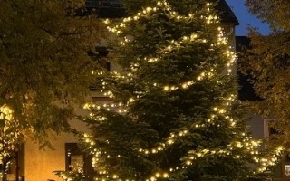 Christbaum Marktplatz 2024.jpg