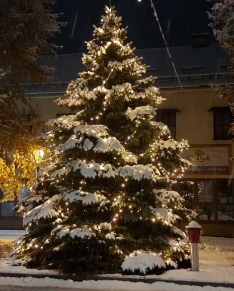Christbaum Marktplatz.jpg