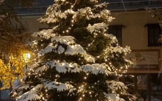 Christbaum Marktplatz.jpg