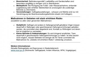 BEILAGE 1 Pflichten für Tierhalter und Tierhalterinnen_page-0001.jpg