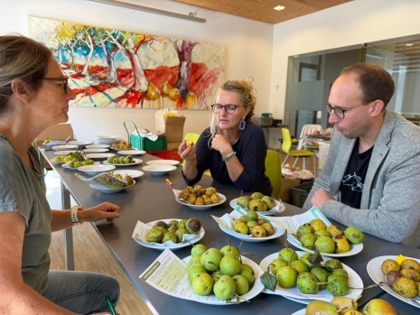 Die Pomologinnen Martina Schmidthaler und Gerlinde Handlechner gemeinsam mit Mathias Weis, Biologe und Moststraße-Projektleiter, beim Bestimmen des abgegebenen Obstes © Moststraße