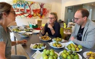 Die Pomologinnen Martina Schmidthaler und Gerlinde Handlechner gemeinsam mit Mathias Weis, Biologe und Moststraße-Projektleiter, beim Bestimmen des abgegebenen Obstes © Moststraße