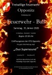 FF Ball Plakat (1).jpg