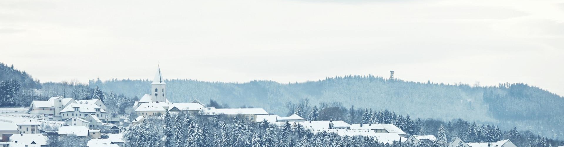 Behamberg_Winter01Header.jpg