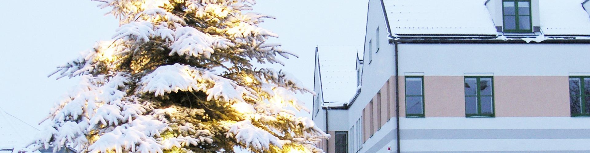 Behamberg_Winter03Header.jpg