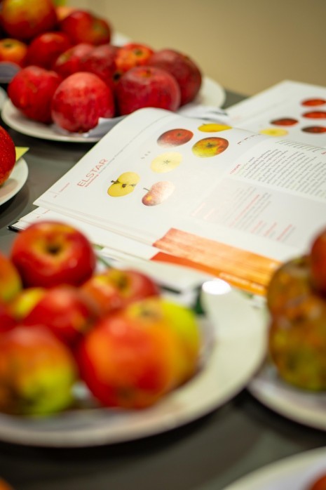 Pressefoto-4-Sortenbestimmung der Moststraße.jpg