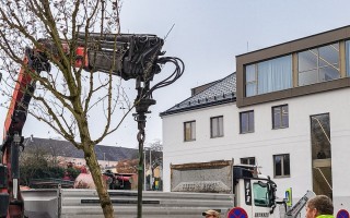 2025.11.05 Baumsetzen-21.jpg