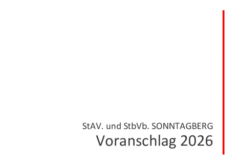 VA 2026 StA.pdf
