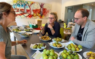 Pressefoto-1-PomologInnen-bei-der-Arbeit.jpeg