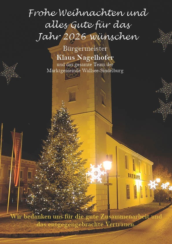 Weihnachtswünsche 2025.jpg