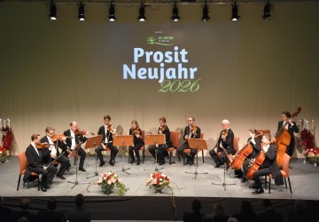 Wiener Streichersolisten (Copy).JPG