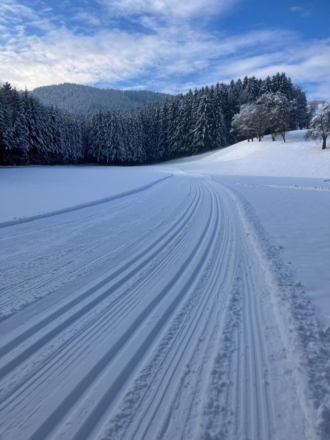 IMG-20241206-WA0000