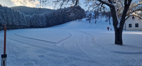 20260111_145148