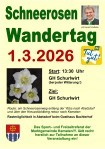 Schneerosenwandertag 2026.jpg