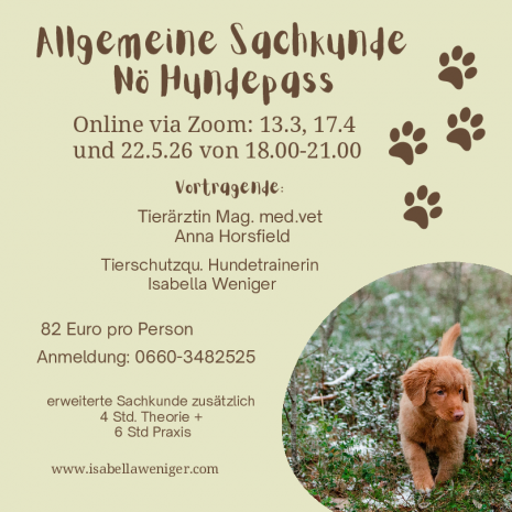 HellgrÃ¼n Braun NatÃ¼rlich Verspielt Hunde Welpen Tipps Instagram Post.pdf