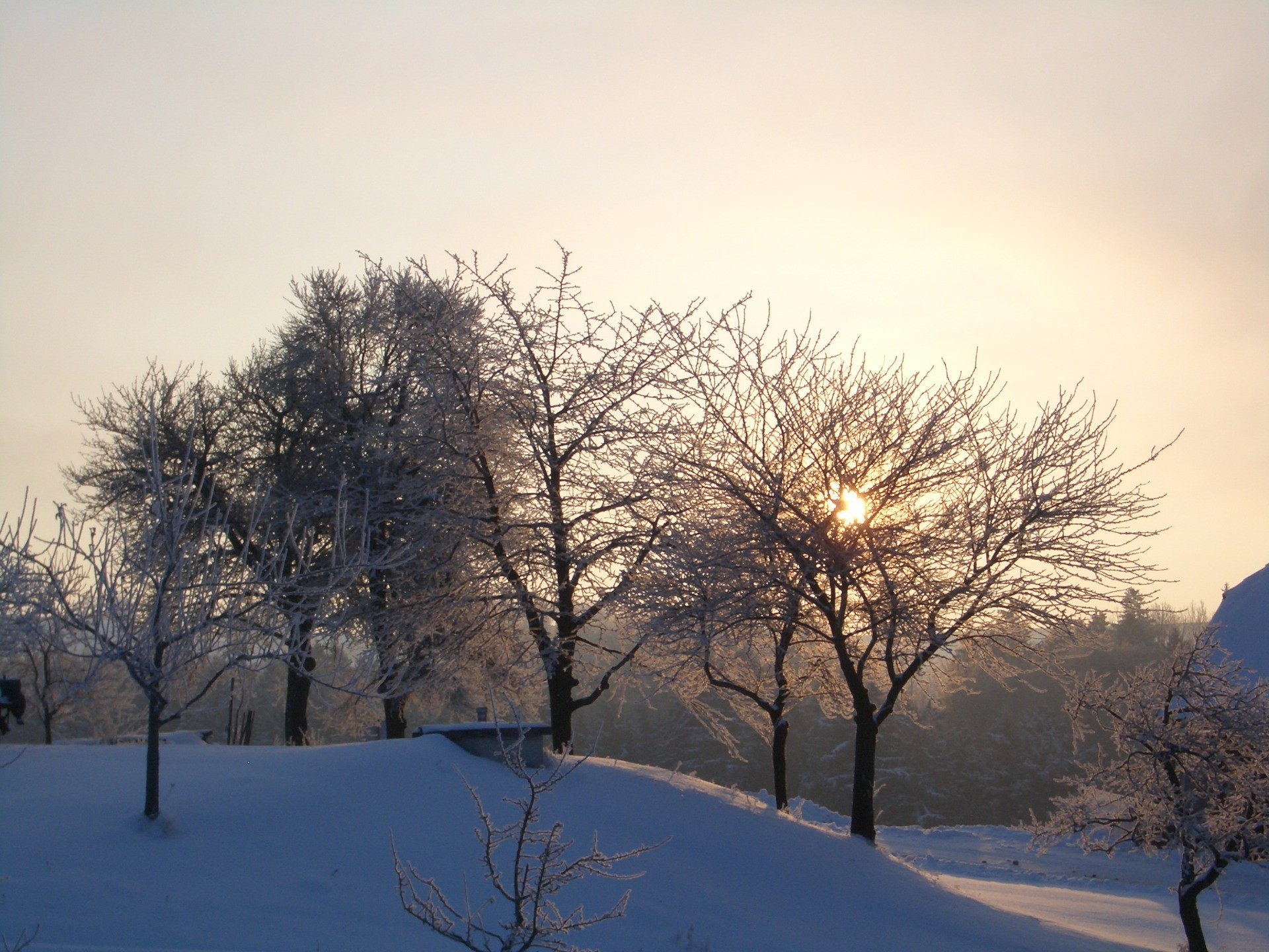 14 Grabenschweiger Alois 2.JPG