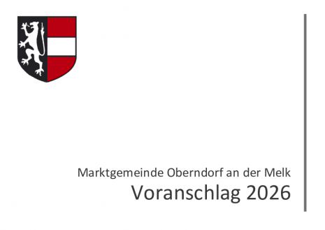 2025.12.05_Voranschlag 2026_Homepage.pdf