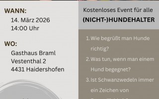 Wer hat Angst vorm großen Hund.jpg