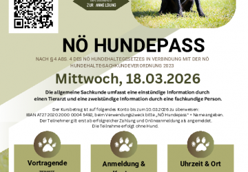 NÖ Hundepass 18.03.2026.pdf