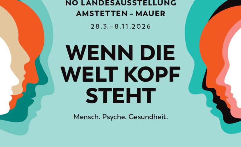 Screenshot 2026-02-20 082152