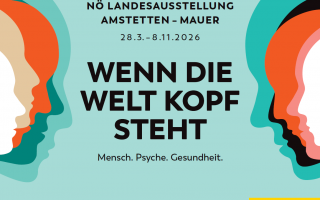 Screenshot 2026-02-20 082152