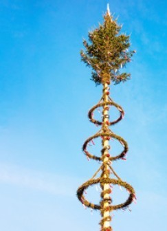 Maibaum