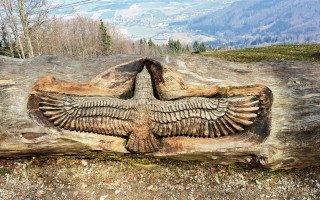 WhatsApp Image 2026-03-08 at 17.44.21.jpeg