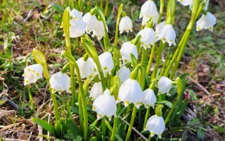 WhatsApp Image 2026-03-08 at 17.44.20.jpeg