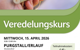 Veredelungskurs-Purgstall-15.April.2026.png