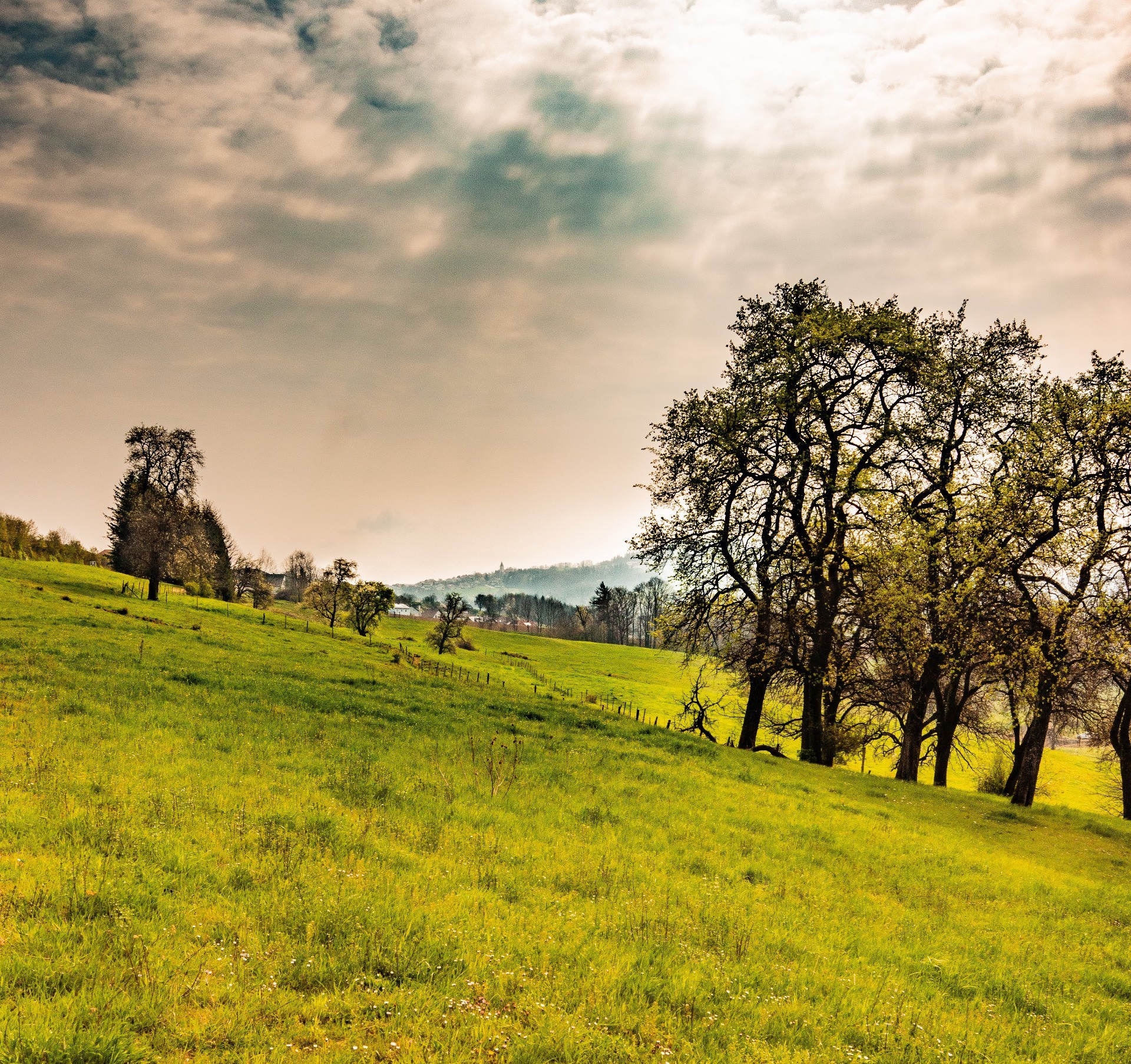 Behamberger-Frühling-1
