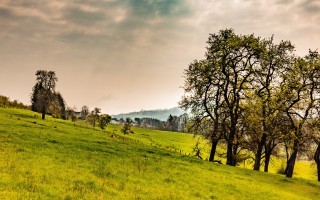 Behamberger-Frühling-1