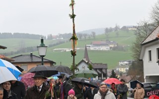 DSC_7643