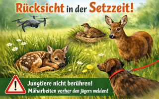 Setzzeiten Rehe.png