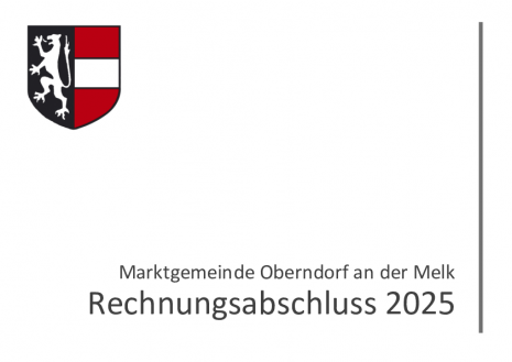2026.04.10_Rechnungsabschluss 2025_Homepage.pdf