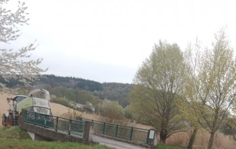 Elefantengras Ernte.jpeg