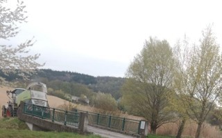 Elefantengras Ernte.jpeg