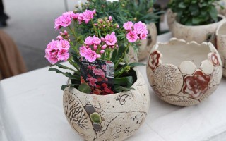 Foto14