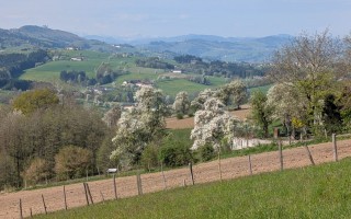 WhatsApp Image 2026-04-18 at 19.36.40 (1).jpeg