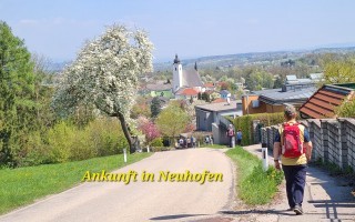 WhatsApp Image 2026-04-19 at 09.20.15 (1).jpeg