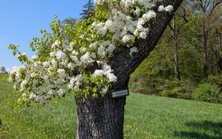 WhatsApp Image 2026-04-18 at 19.36.38.jpeg