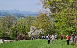 WhatsApp Image 2026-04-19 at 09.20.16 (3).jpeg