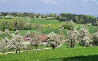 WhatsApp Image 2026-04-19 at 09.20.16 (2).jpeg