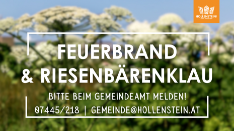 Riesenbärenklau und Feuerbrand.png