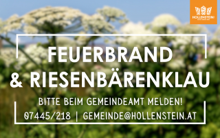 Riesenbärenklau und Feuerbrand.png